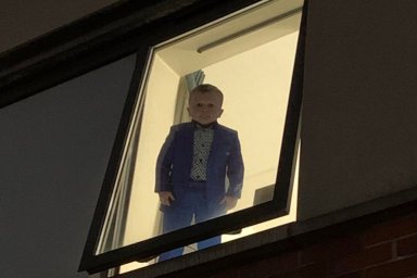Хасбик в окне