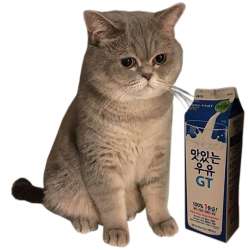 831