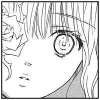 81