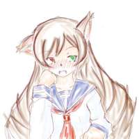 40