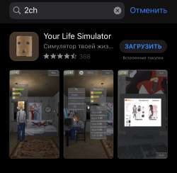 291