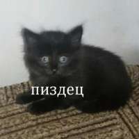 83