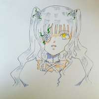 54