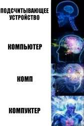 81