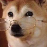 685