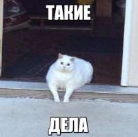 296