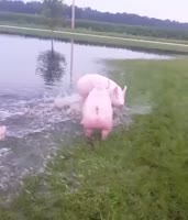 1095
