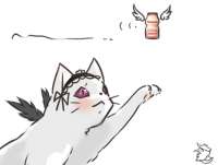 48