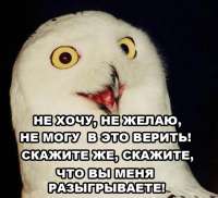 95