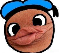 40