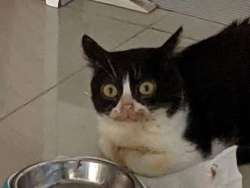 84