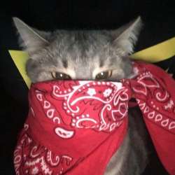 134