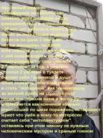 1213