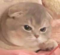 344