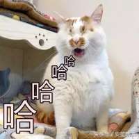 140