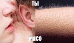 653
