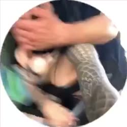 3228