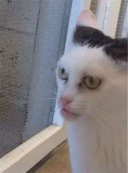 98