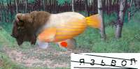 361