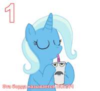 144
