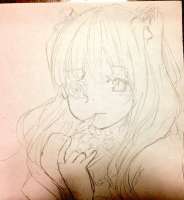 81
