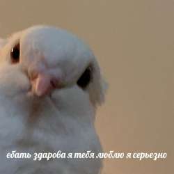 154
