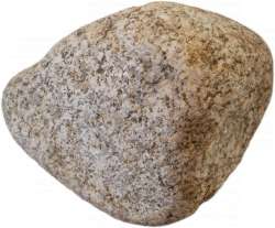 2138