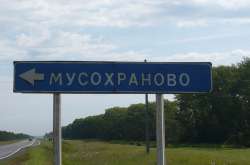 80