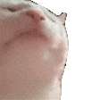 803