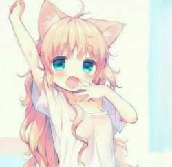 53