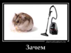68