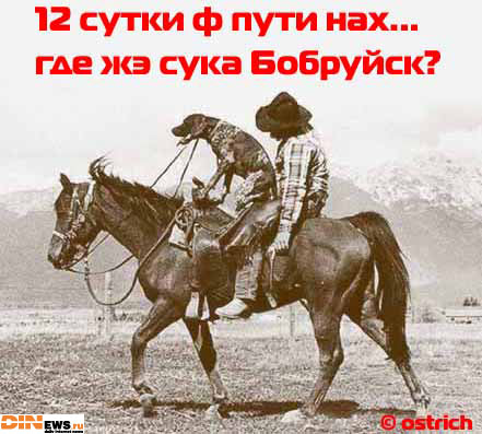 12 суток ф пути... где же Бобруйск???