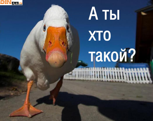 А ты хто такой?