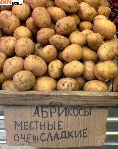 Абрикосы местные очень сладкие...