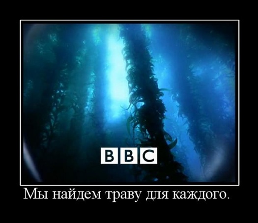BBC – мы найдем траву для каждого