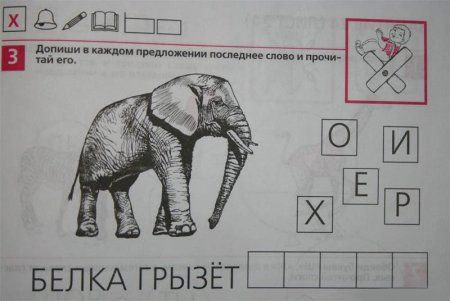 Что грызет белка?