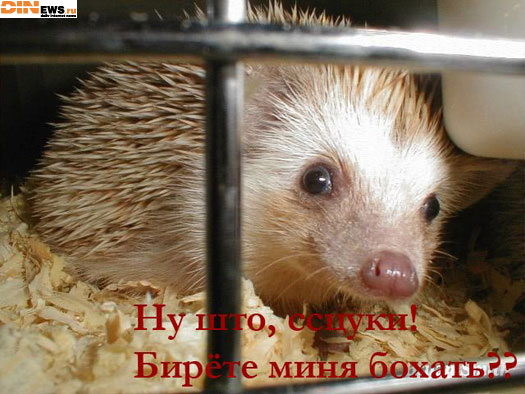 Пятнично! :)))