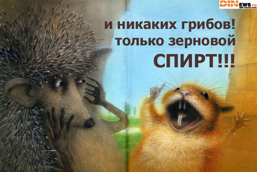 И никаких грибов...