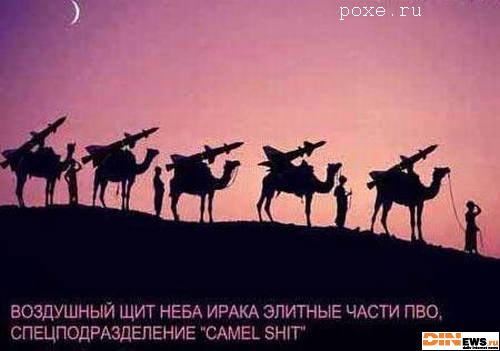 Иракское ПВО - Спецподразделение Camel Shit