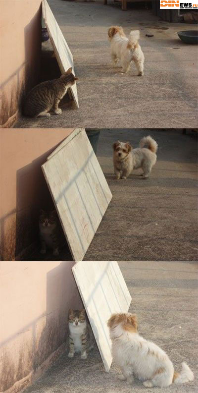 Прикольно! :))