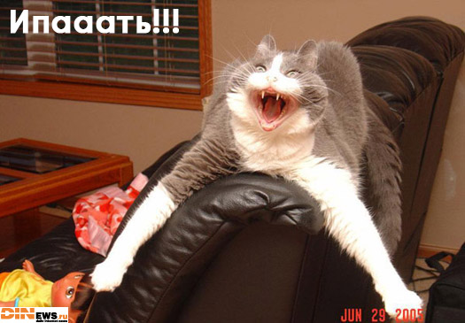 Ипааать!!!