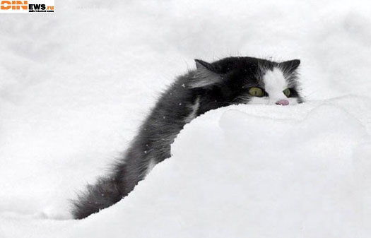 Скоро уже зима! Все готовы?