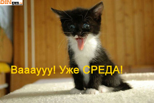 Ваааууу! Уже СРЕДА!!!