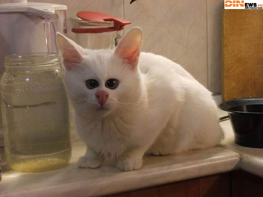 Страшно мля?... Мне тоже!