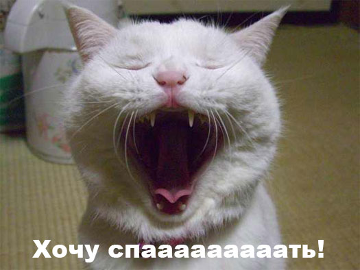 Хочу спааааааааать!!!