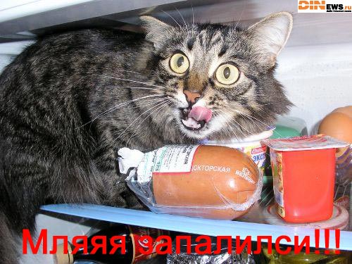 Запалили! :)