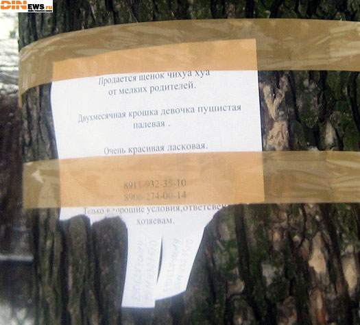 Кому чихую хую нады? :)))