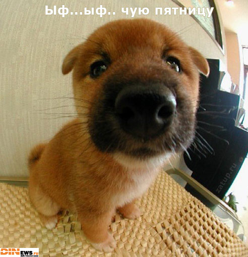Чую пятницу...