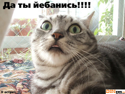 Да ты...!