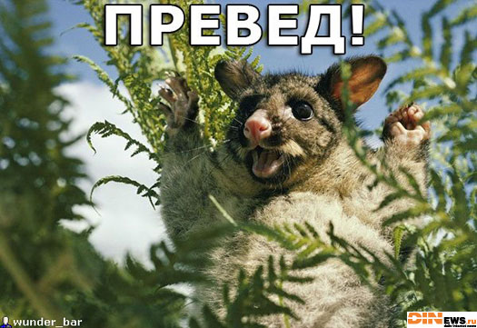 Добрый утренний превед! :)
